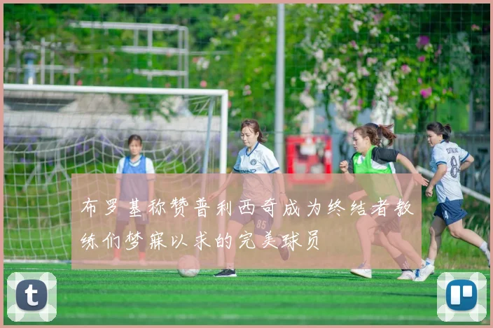 布罗基称赞普利西奇成为终结者教练们梦寐以求的完美球员